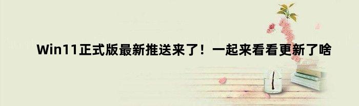 Win11正式版最新推送来了！一起来看看更新了啥