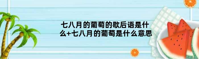 七八月的葡萄的歇后语是什么 七八月的葡萄是什么意思