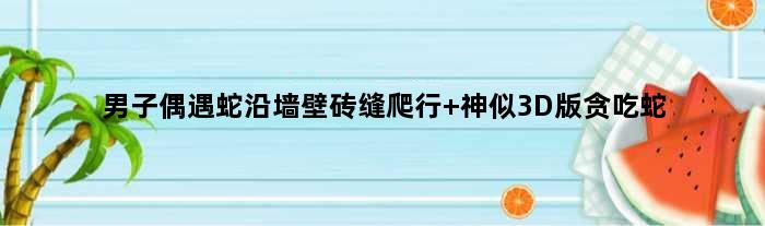 男子偶遇蛇沿墙壁砖缝爬行 神似3D版“贪吃蛇”