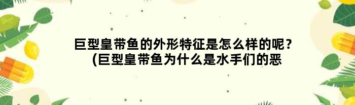 巨型皇带鱼的外形特征是怎么样的呢？(巨型皇带鱼为什么是水手们的恶梦)