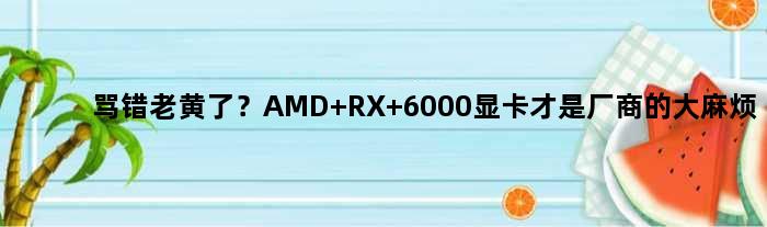 骂错老黄了？AMD RX 6000显卡才是厂商的大麻烦