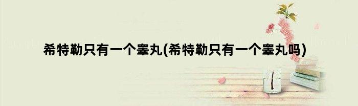 希特勒只有一个睾丸(希特勒只有一个睾丸吗)