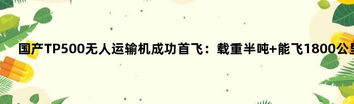 国产TP500无人运输机成功首飞：载重半吨 能飞1800公里