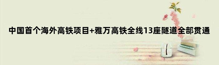 中国海外高铁项目 雅万高铁全线13座隧道全部贯通