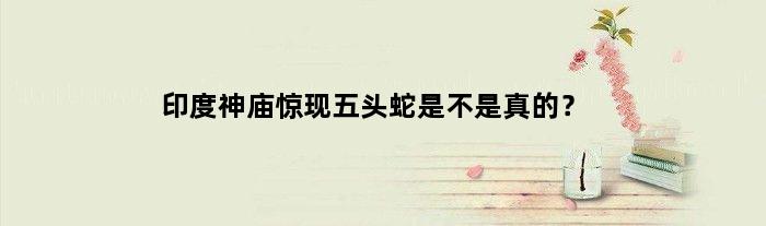 印度神庙惊现五头蛇是不是真的？