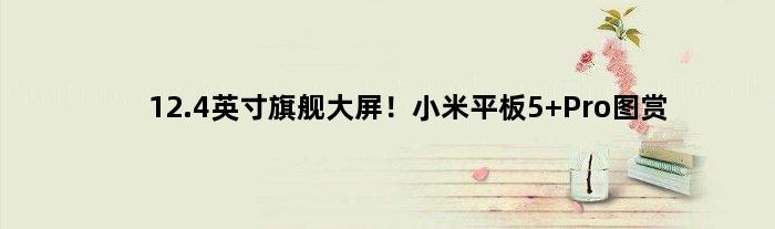 12.4英寸旗舰大屏！小米平板5 Pro图赏