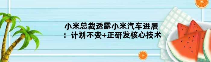 小米总裁透露小米汽车进展：计划不变 正研发核心技术