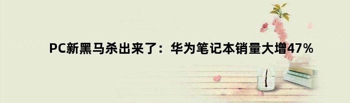 PC新黑马杀出来了：华为笔记本销量大增47%