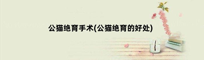 公猫绝育手术(公猫绝育的好处)