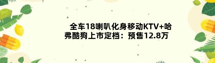 全车18喇叭化身移动KTV 哈弗酷狗上市定档：预售12.8万起
