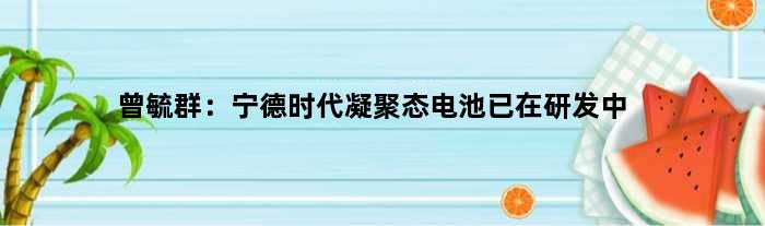 曾毓群：宁德时代凝聚态电池已在研发中