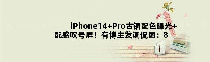 iPhone14 Pro古铜配色曝光 配感叹号屏！有博主发调侃图：8千块买吗？