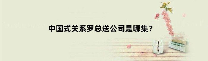 中国式关系罗总送公司是哪集？