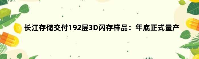 长江存储交付192层3D闪存样品：年底正式量产