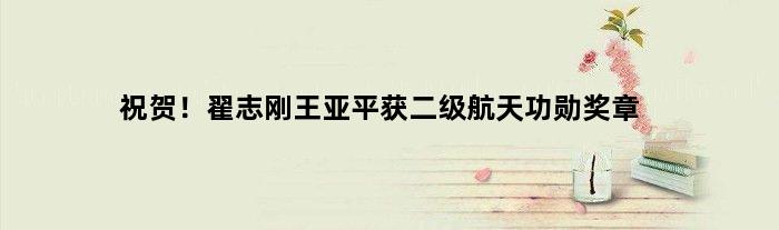 祝贺！翟志刚王亚平获二级航天功勋奖章