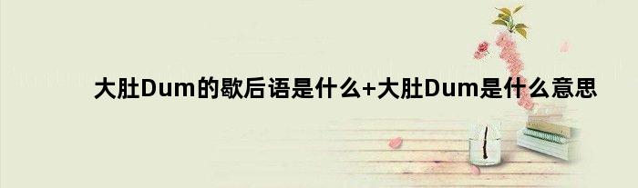 大肚Dum的歇后语是什么 大肚Dum是什么意思