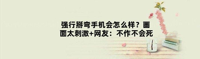 强行掰弯手机会怎么样？画面太刺激 网友：不作不会死