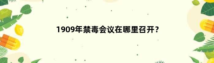 1909年禁毒会议在哪里召开？