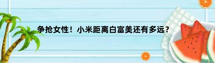 争抢女性！小米距离“白富美”还有多远？