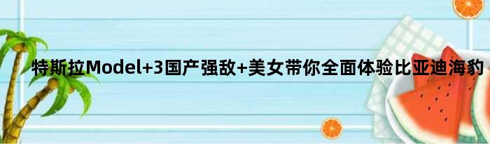 特斯拉Model 3国产强敌 美女带你全面体验比亚迪海豹