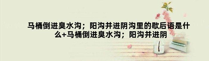 马桶倒进臭水沟；阳沟并进阴沟里的歇后语是什么 马桶倒进臭水沟；阳沟并进阴沟里是什么意思