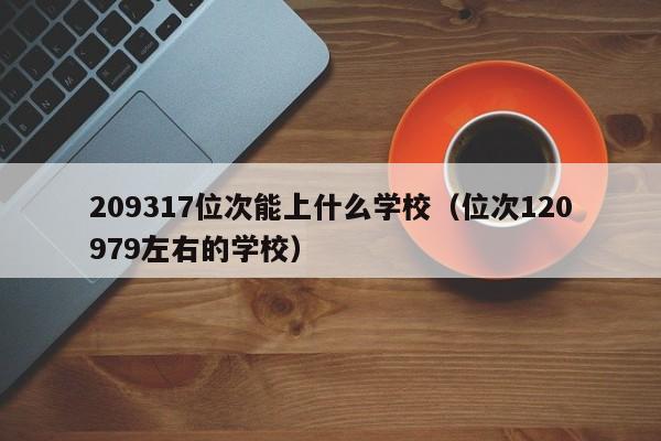 位次120979左右的学校（209317位次能上什么学校）