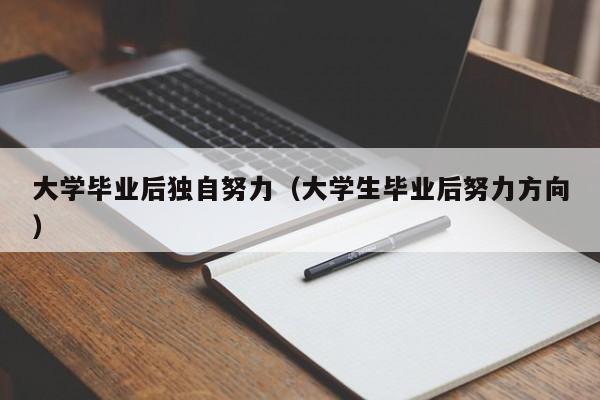 大学生毕业后努力方向（大学毕业后独自努力）