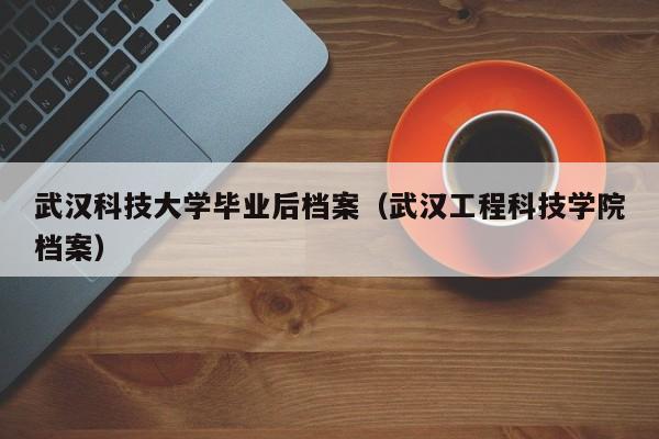 武汉工程科技学院档案（武汉科技大学毕业后档案）