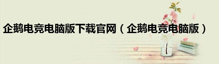 企鹅电竞电脑版(企鹅电竞电脑版下载官网)