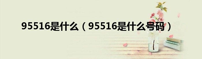 95516是什么号码(95516是什么)