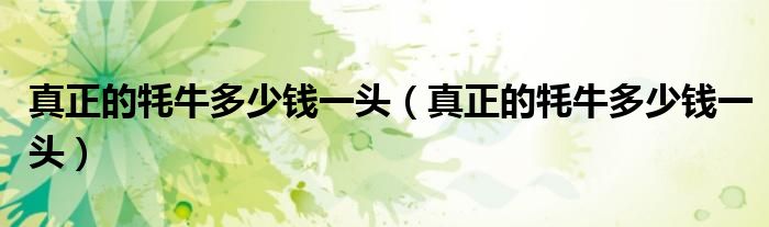 真正的牦牛多少钱一头(真正的牦牛多少钱一头)