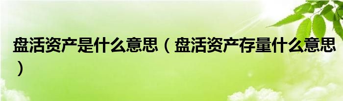 盘活资产存量什么意思(盘活资产是什么意思)