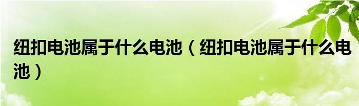 纽扣电池属于什么电池(纽扣电池属于什么电池)
