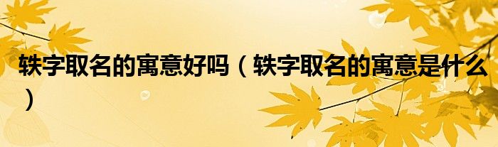 轶字取名的寓意是什么(轶字取名的寓意好吗)