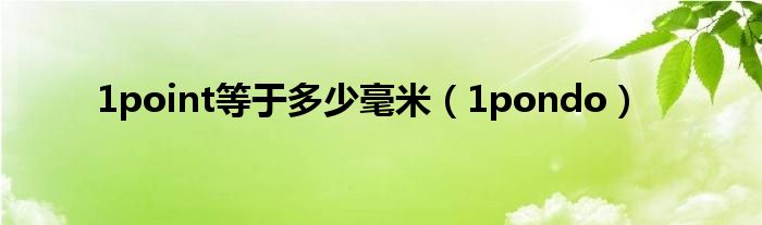 1pondo(1point等于多少毫米)