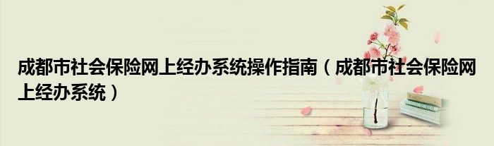 成都市社会保险网上经办系统(成都市社会保险网上经办系统操作指南)