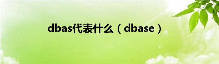 dbase(dbas代表什么)