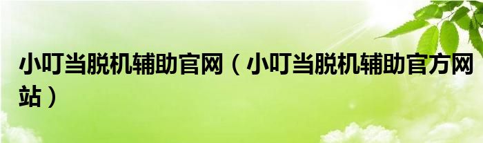 小叮当脱机辅助官方网站(小叮当脱机辅助官网)