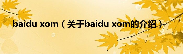 关于baidu xom的介绍(baidu xom)