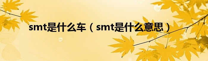 smt是什么意思(smt是什么车)