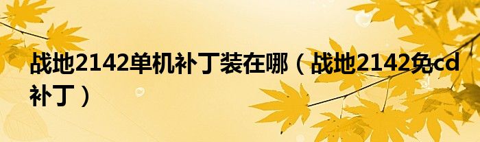 战地2142免cd补丁(战地2142单机补丁装在哪)