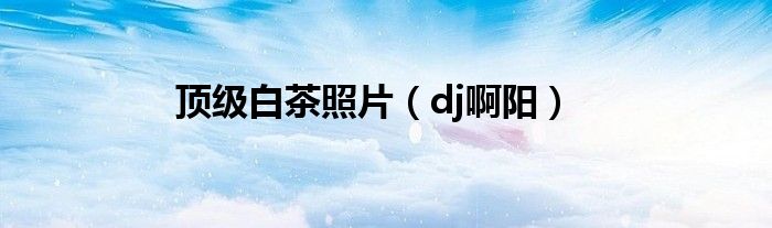 dj啊阳(顶级白茶照片)
