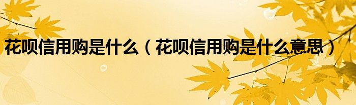 花呗信用购是什么意思(花呗信用购是什么)