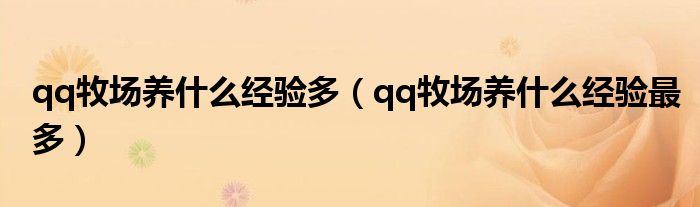 qq牧场养什么经验最多(qq牧场养什么经验多)