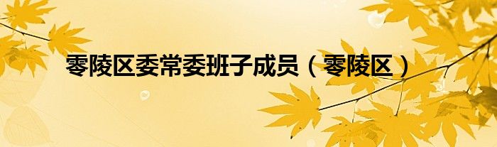 零陵区(零陵区委常委班子成员)
