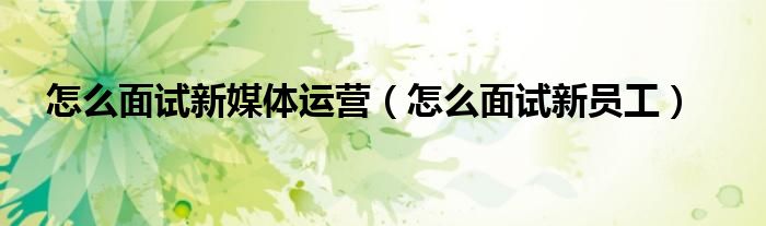 怎么面试新员工(怎么面试新媒体运营)