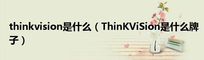 ThinKViSion是什么牌子(thinkvision是什么)