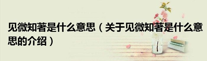 关于见微知著是什么意思的介绍(见微知著是什么意思)