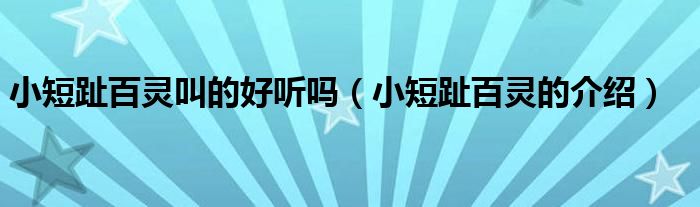 小短趾百灵的介绍(小短趾百灵叫的好听吗)