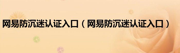 网易防沉迷认证入口(网易防沉迷认证入口)